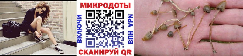 Псилоцибиновые грибы MAGIC MUSHROOMS  цены   Новая Ляля 